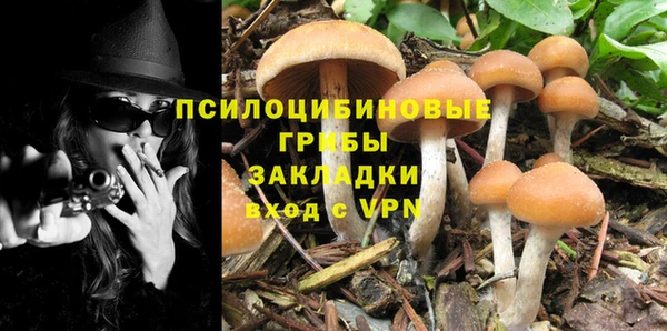 молекула духа Алексеевка