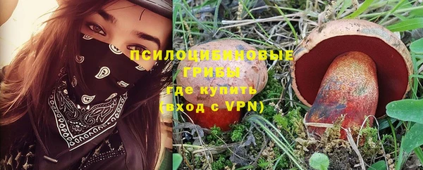 молекула духа Алексеевка