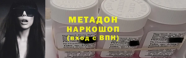 прущие грибы Алзамай