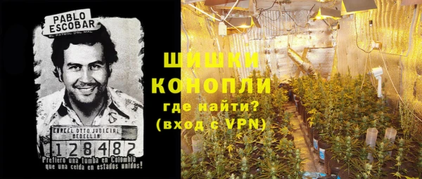 прущие грибы Алзамай