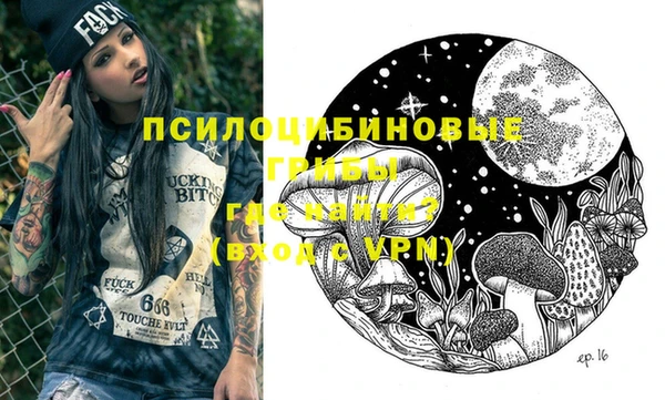 молекула духа Алексеевка