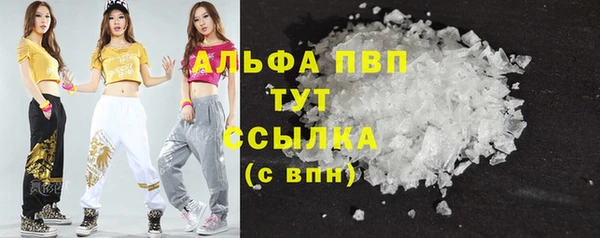 прущие грибы Алзамай