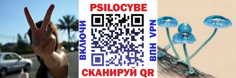 Псилоцибиновые грибы MAGIC MUSHROOMS  Купить где  Темников 